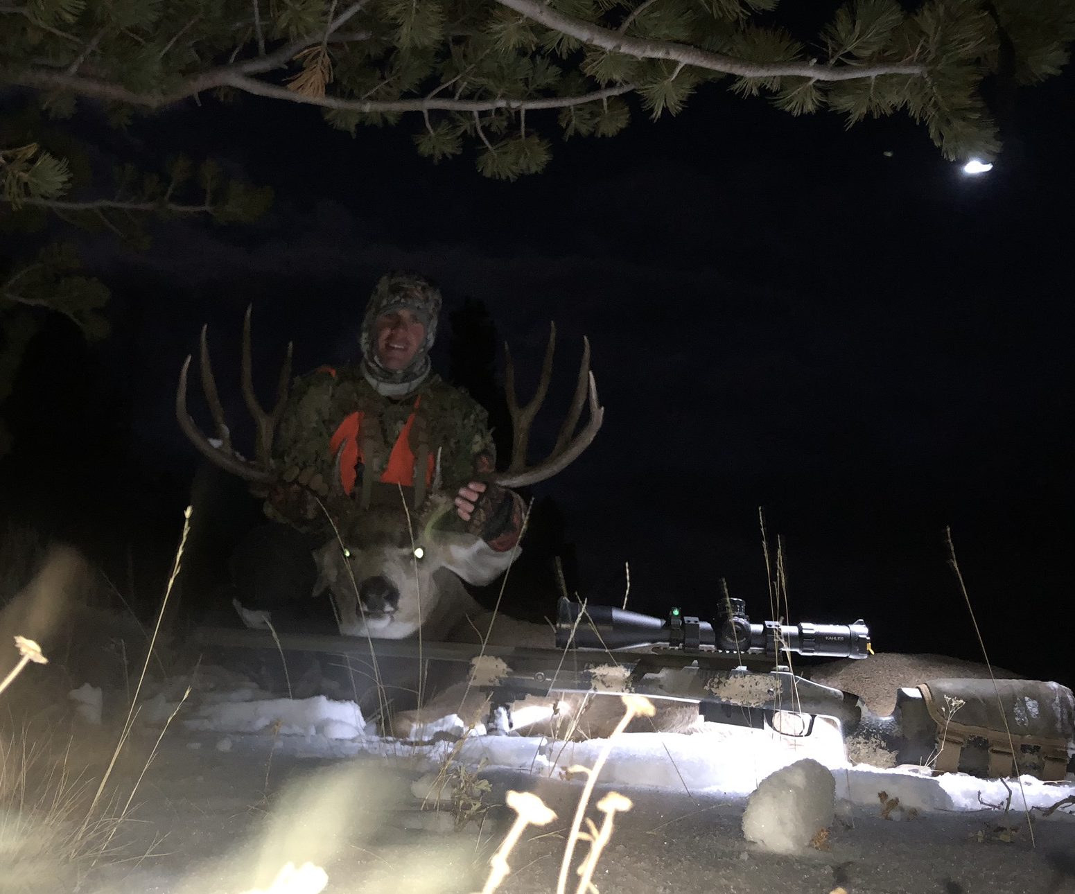 2018 4th Season Colorado Mule Deer