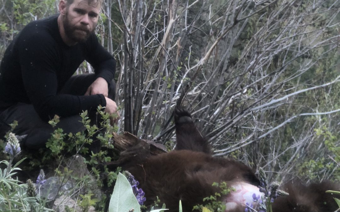 2020 Hunting Season Recap – This Article is about Hunt #1, Idaho Black Bear